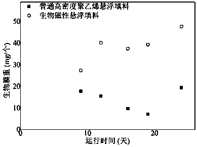 Preparation method and equipment of novel bio-magnetic suspension filler for water treatment