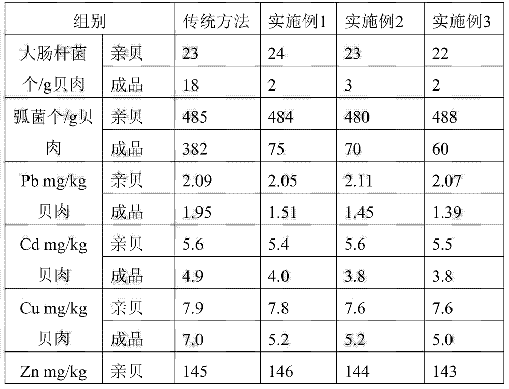 A kind of clam purification propagation cultivation method