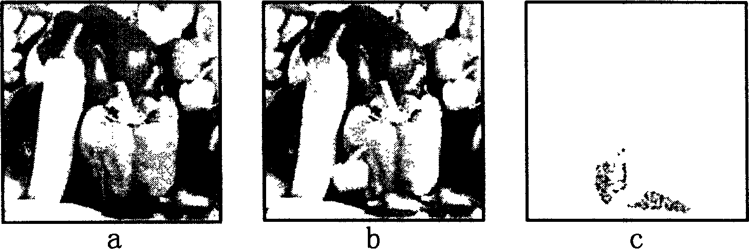 Embedding and extracting method for wavelet domain chaotic semi-frageile digit water print