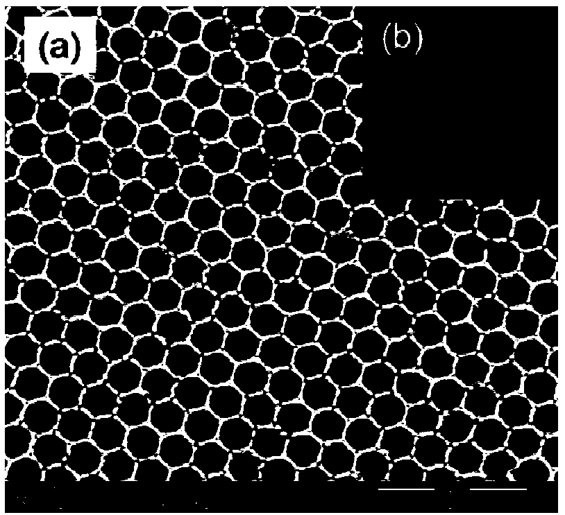 Strength enhanced type low angle dependency structure color material and preparation method thereof