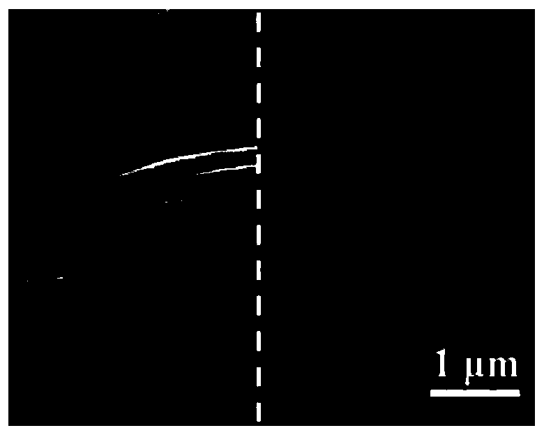 Composite material based on silk fibroin fiber and heart valve prosthesis