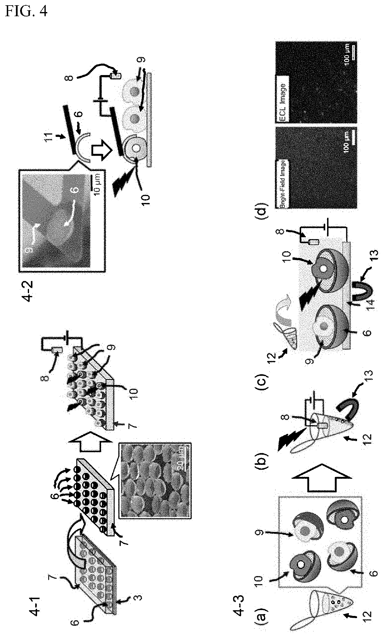 Microstructure, method for manufacturing same, and molecule detection method using same