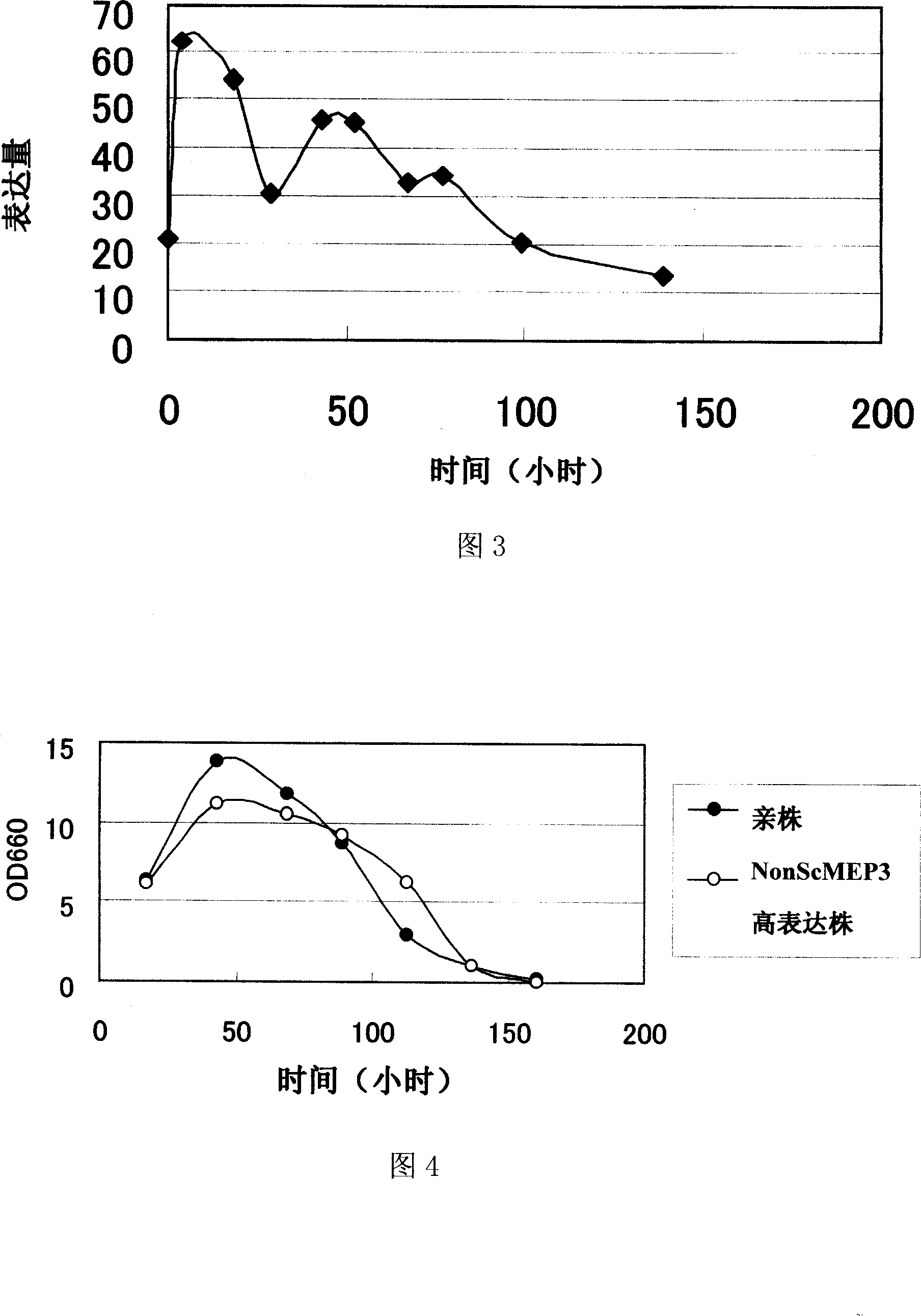 Ammonia transporter gene and use thereof