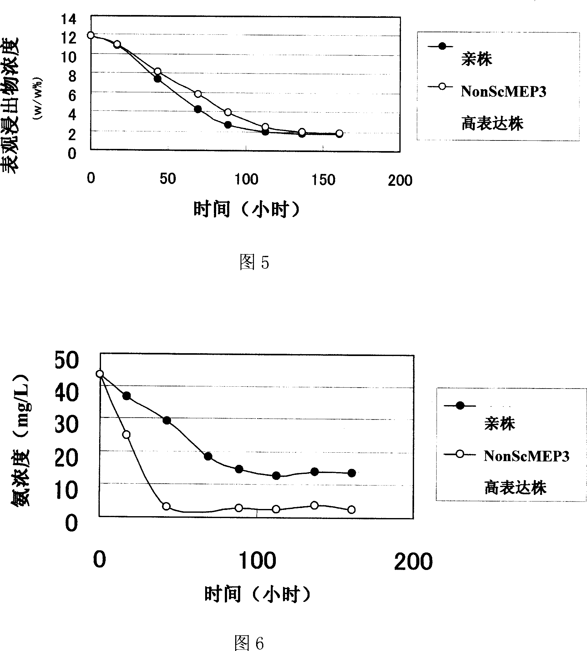 Ammonia transporter gene and use thereof