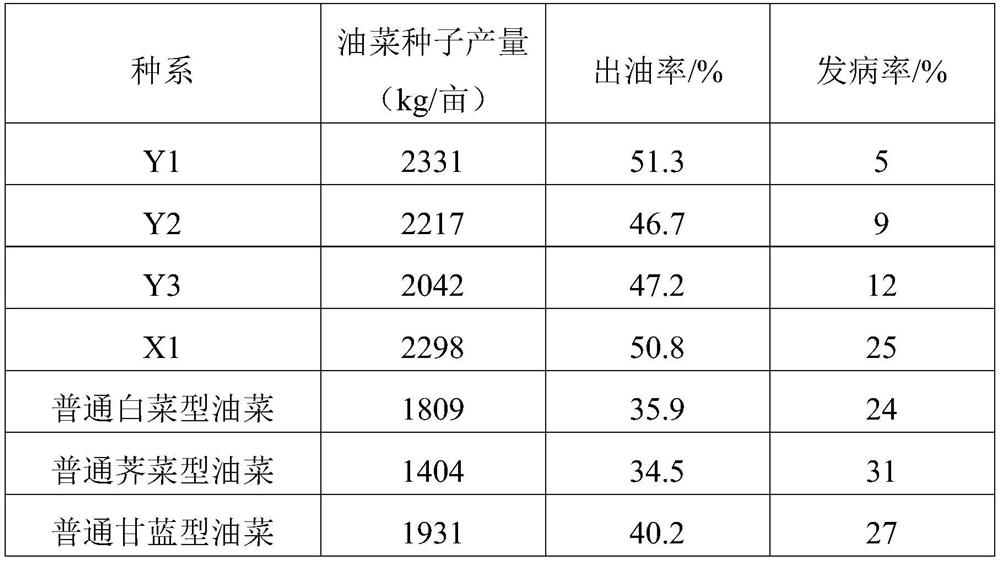 Duplex breeding method for oilseed rape