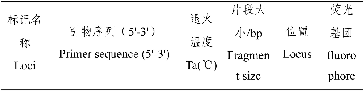 Method for goose paternity test