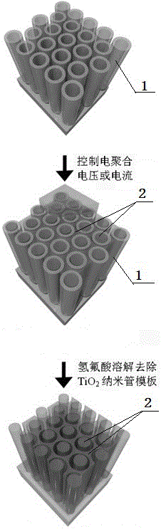 Polyethylenedioxythiophene nanotube array and single-standing nanowire film in tube, and preparation method and application thereof