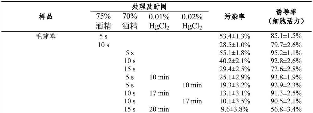 Induction culture medium for tissue culture and rapid propagation of dracocephalum plants and application of induction culture medium