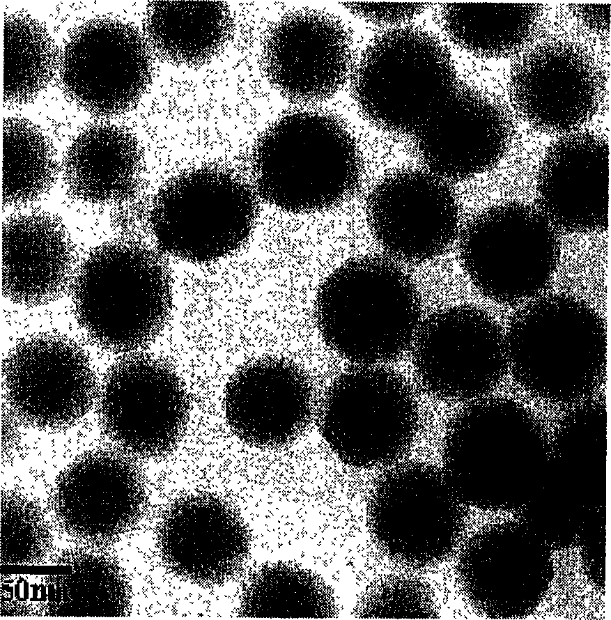 Silicon dioxide fluorescent microball containing cadmium telluride fluorescence quantum point