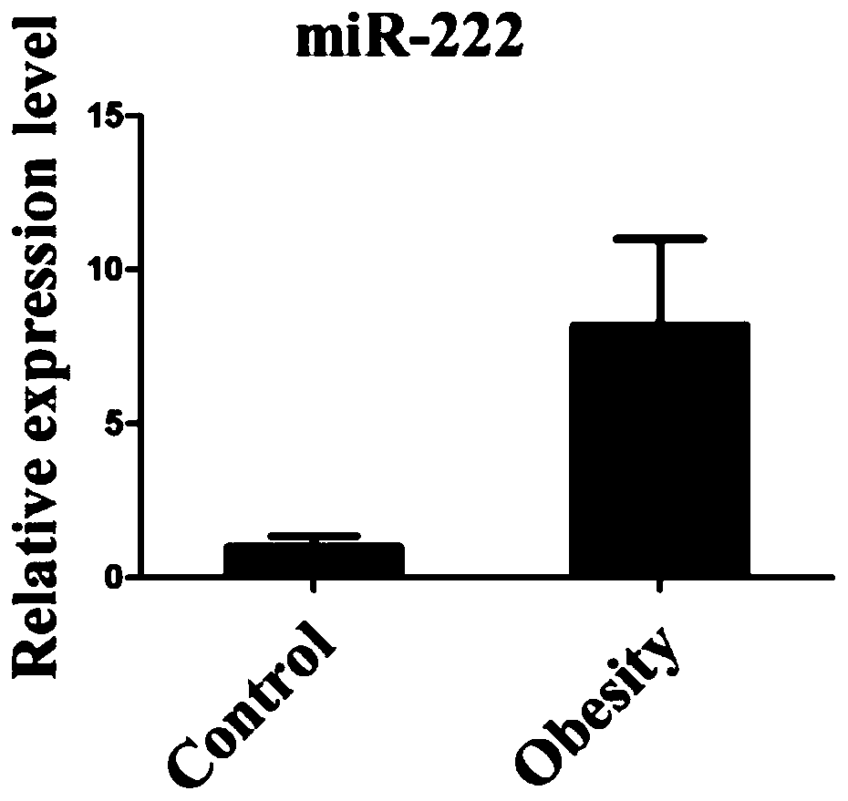 A serum or plasma miRNA marker associated with childhood obesity and its application