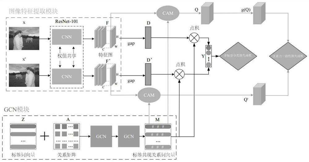 Multi-label image classification method and system based on class activation mapping mechanism