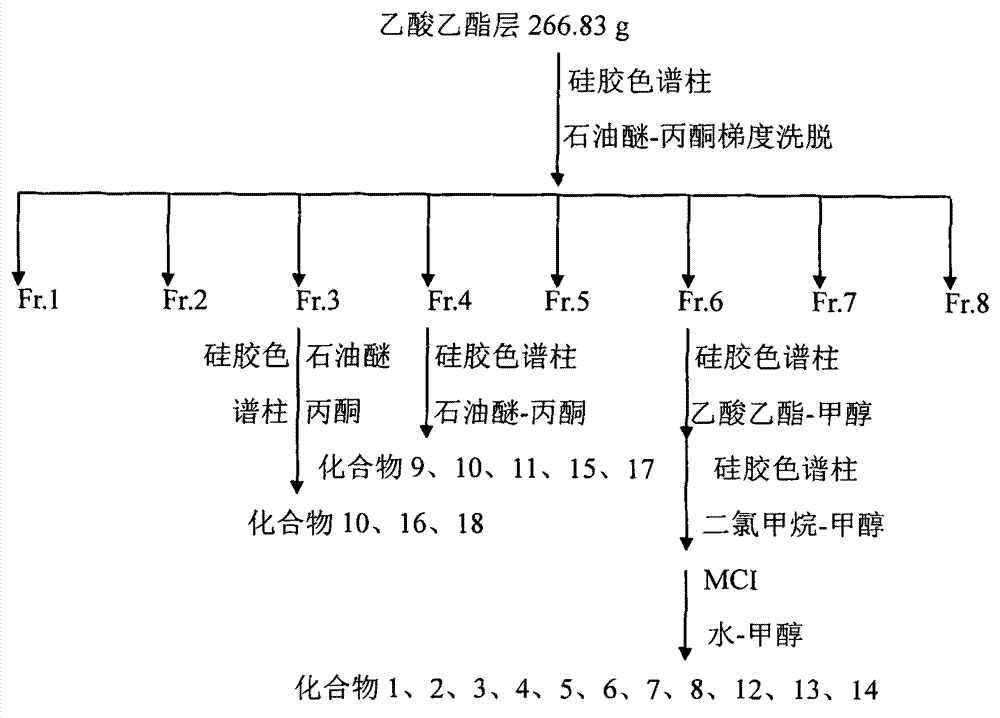 Method for extracting and preparing blood-sugar-reducing substance--secoiridoid glucoside compounds from seeds of Fraxinus rhynchophylla Hance