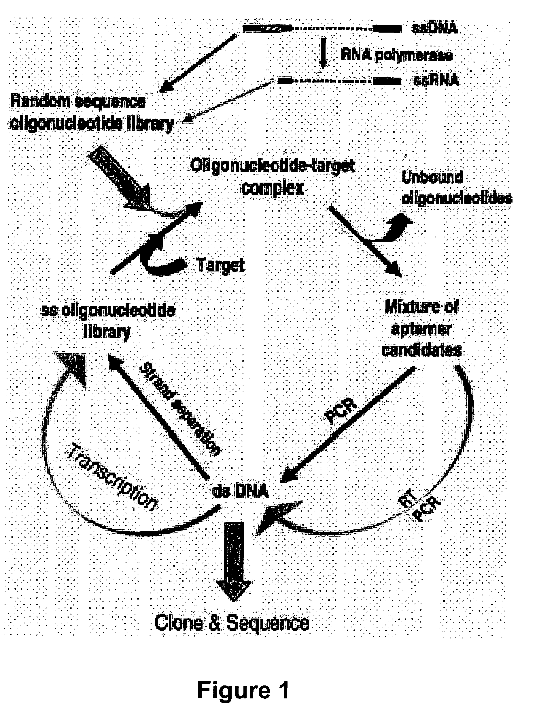 Gene regulation with aptamer and modulator complexes for gene therapy