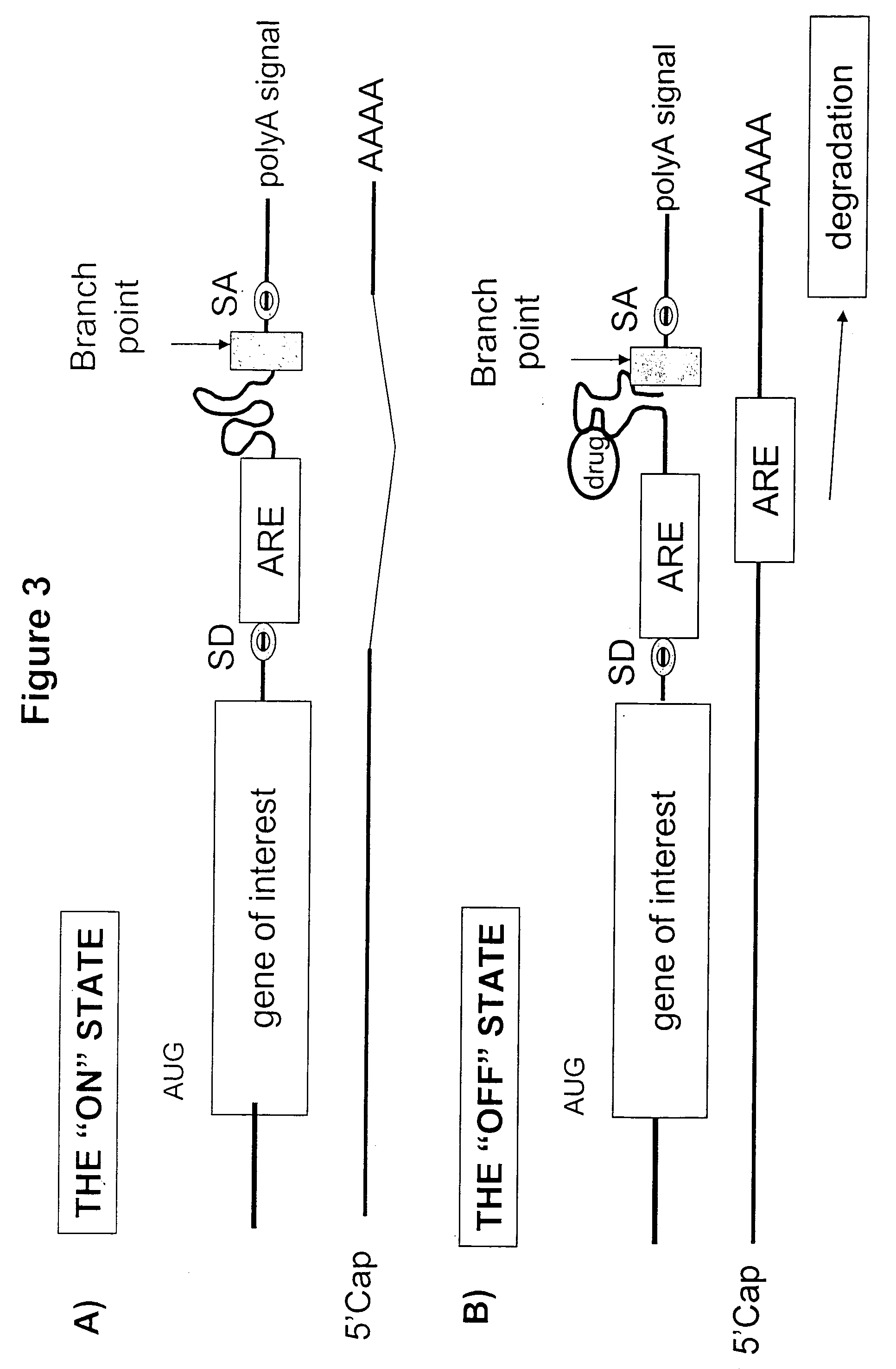 Gene regulation with aptamer and modulator complexes for gene therapy