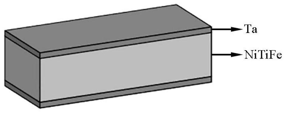 Biomedical NiTiFe-Ta composite board and preparation method thereof