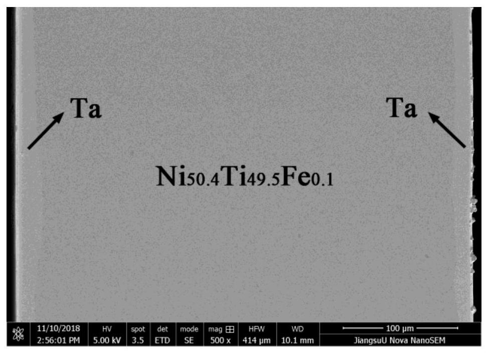 Biomedical NiTiFe-Ta composite board and preparation method thereof