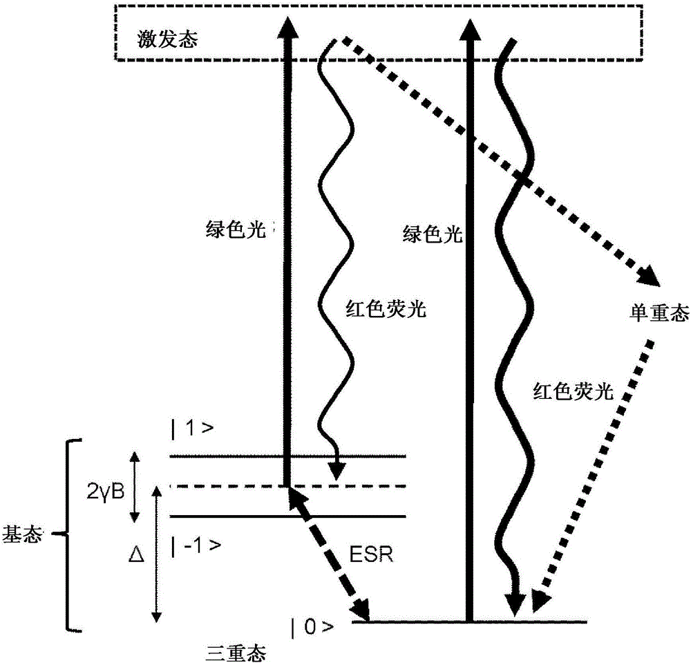 Diamond crystal, diamond element, magnetic sensor, magnetic measurement device, and method for manufacturing sensor array