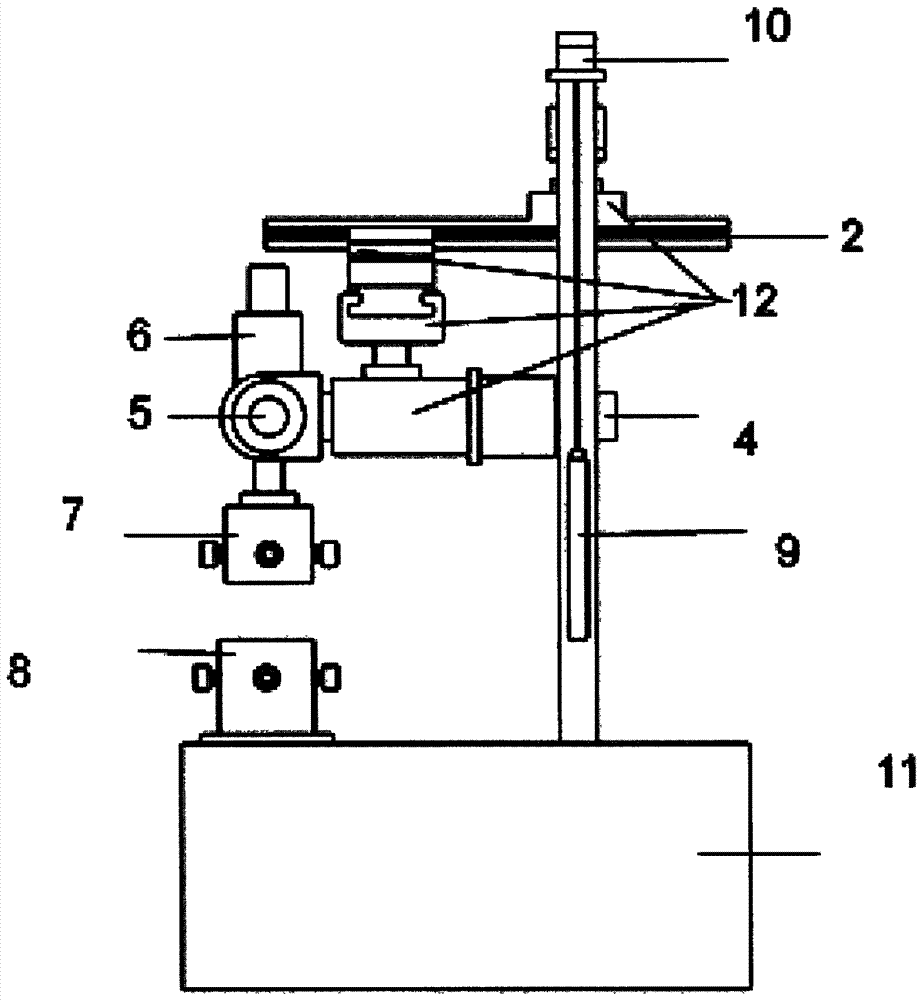 Spine Biomechanical Simulator