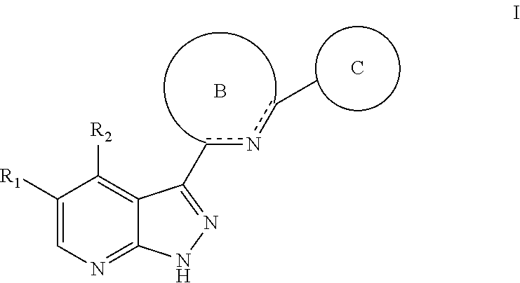 Tri-cyclic pyrazolopyridine kinase inhibitors