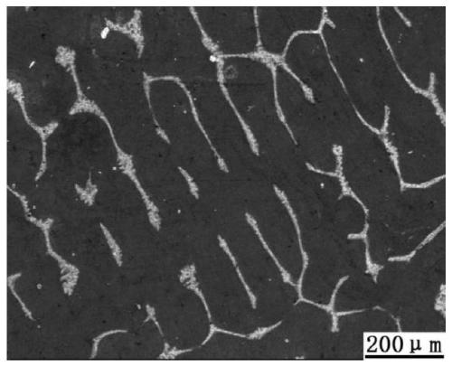 Homogenization process of high-tungsten high-cobalt nickel alloy ingot