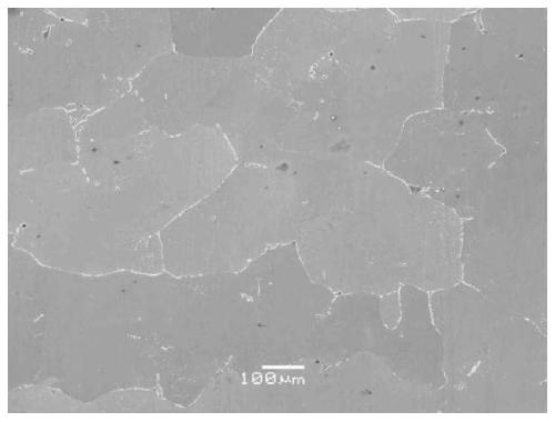 Homogenization process of high-tungsten high-cobalt nickel alloy ingot