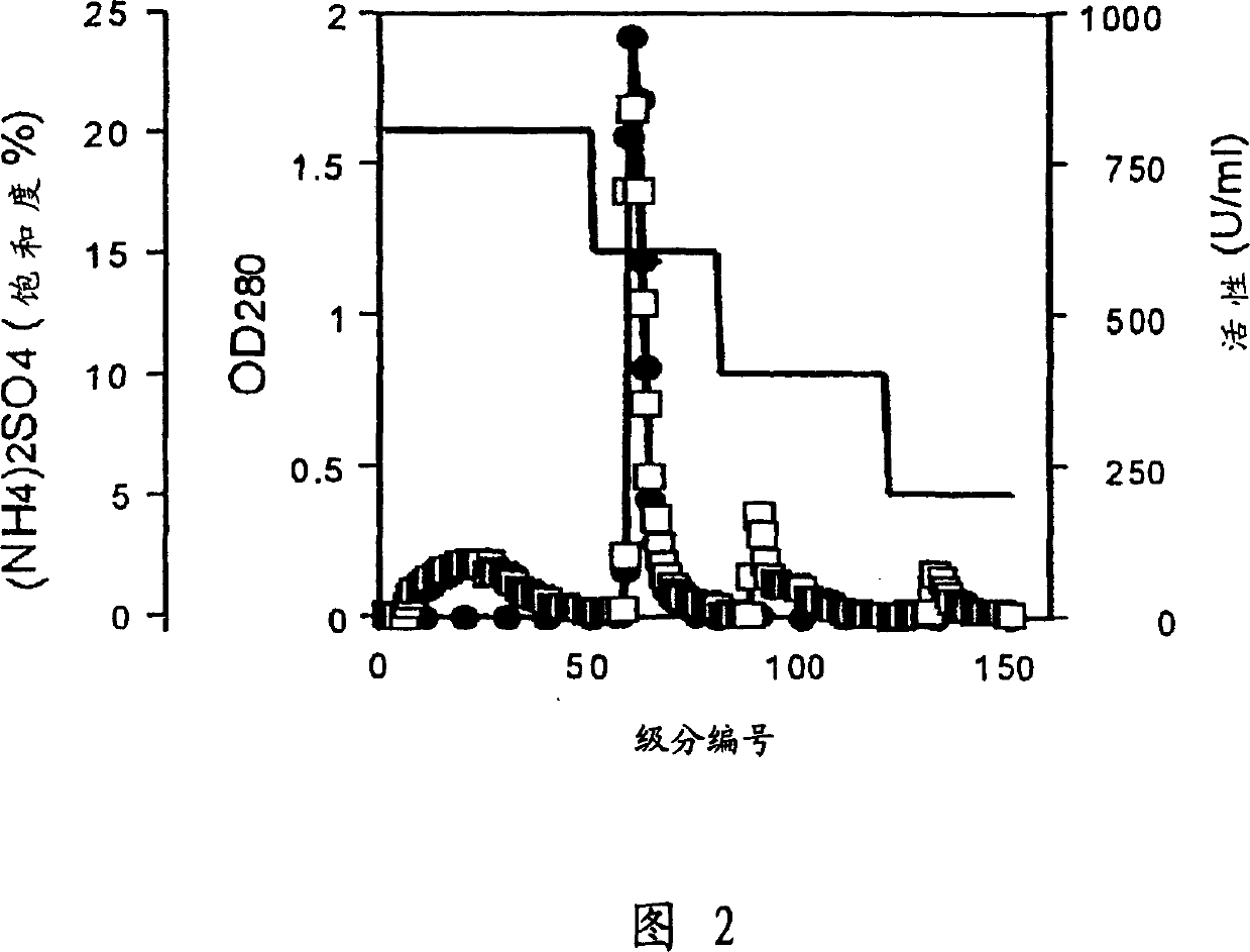 Nitrile hydratase and a method for producing amides