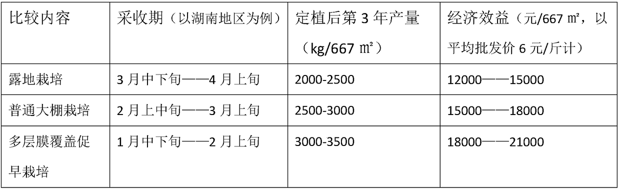 Method for promoting early cultivation of multi-layer film covering of winter and spring in asparagus in greenhouse