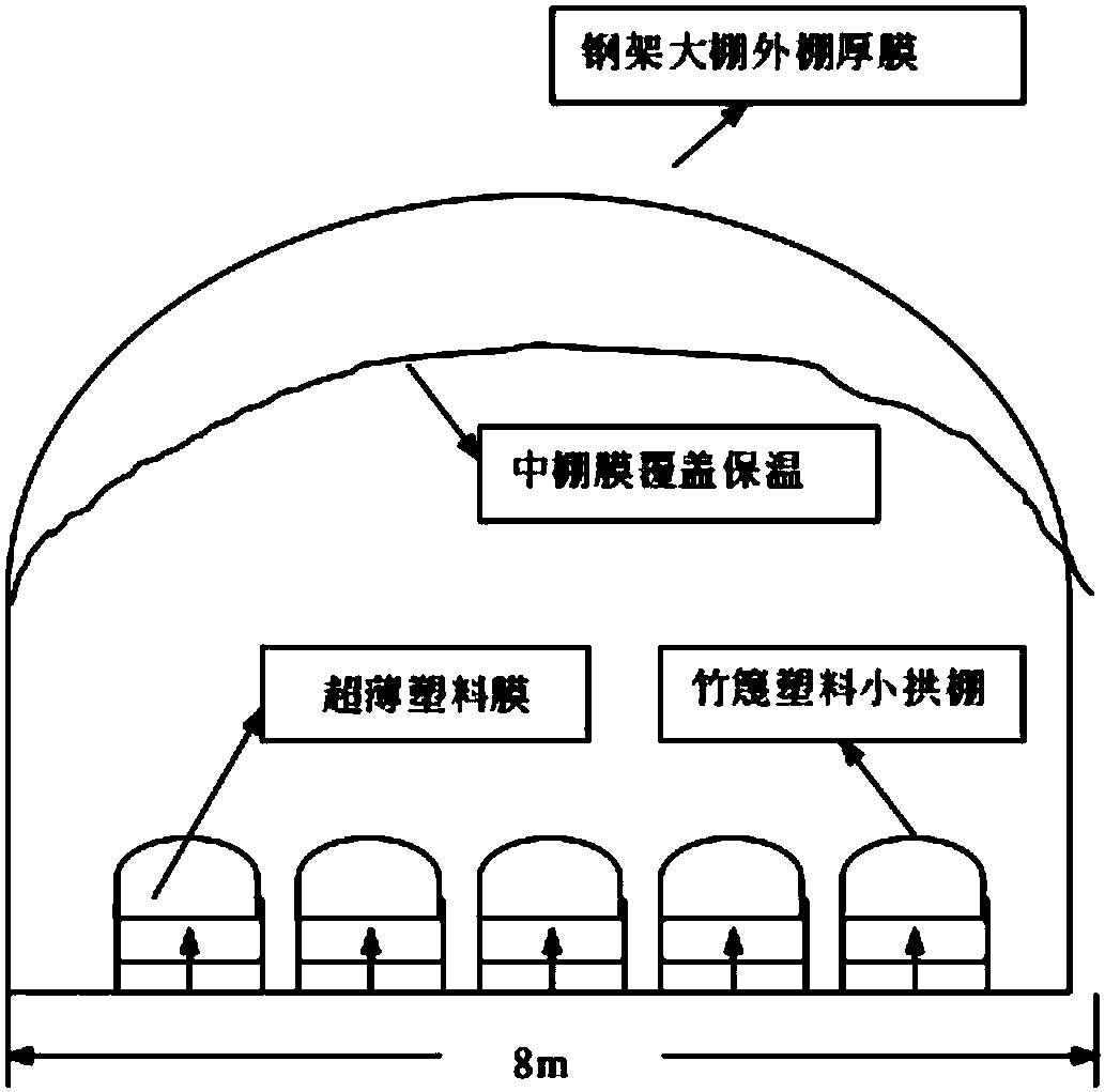 Method for promoting early cultivation of multi-layer film covering of winter and spring in asparagus in greenhouse