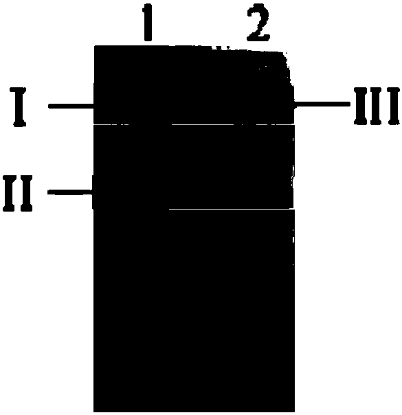 Method for producing gamma-aminobutyric acid by whole cell transformation method