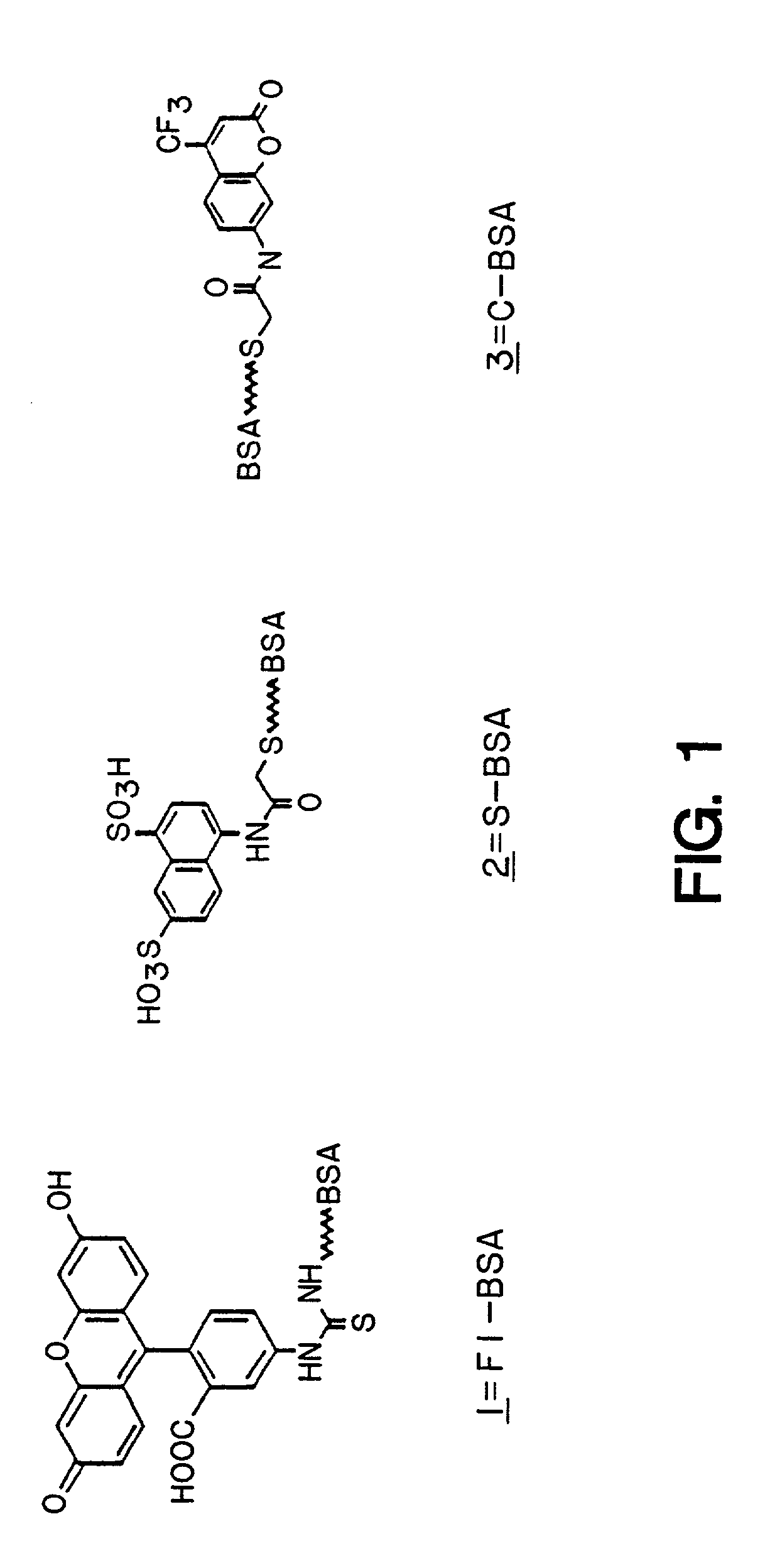 Methods for producing antibody libraries using universal or randomized immunoglobulin light chains