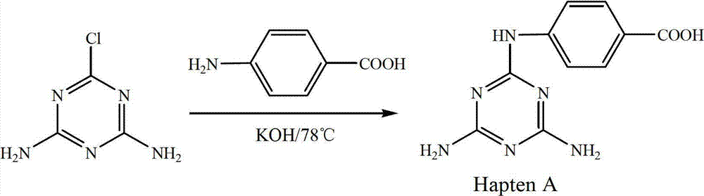 Enzyme-linked immuno sorbent assay (ELISA) method for detecting melamine content in food