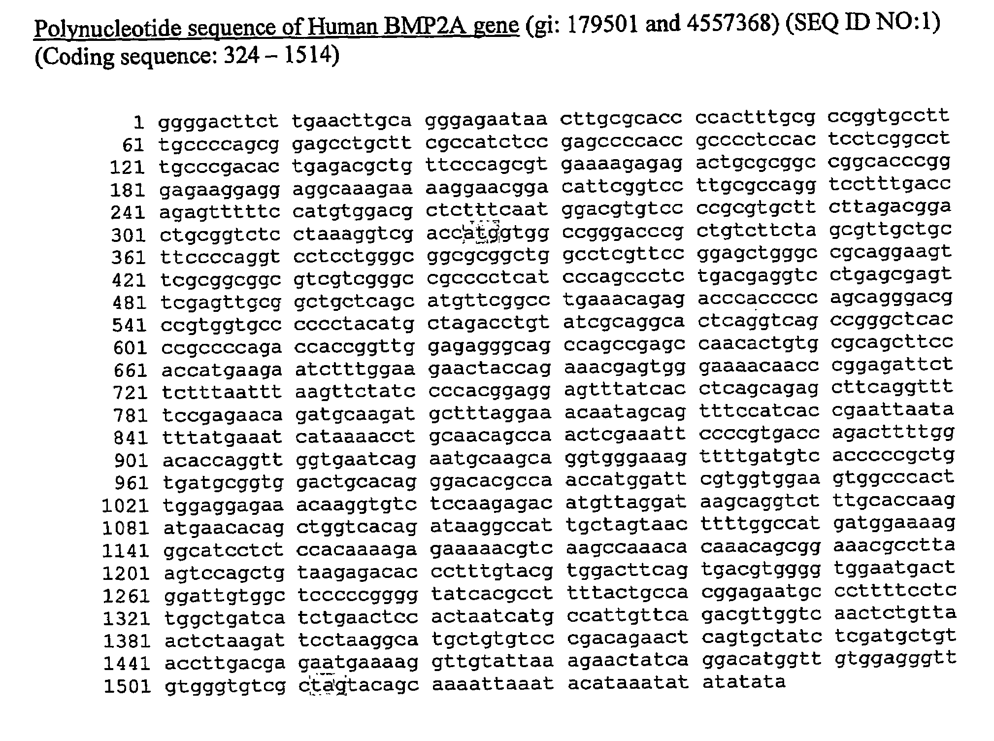 Bone Morphogenetic Protein (Bmp) 2A and Uses Thereof