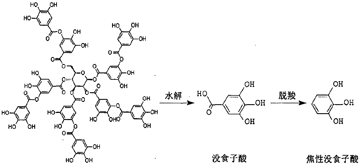 Method for separating and purifying gallic acid decarboxylase