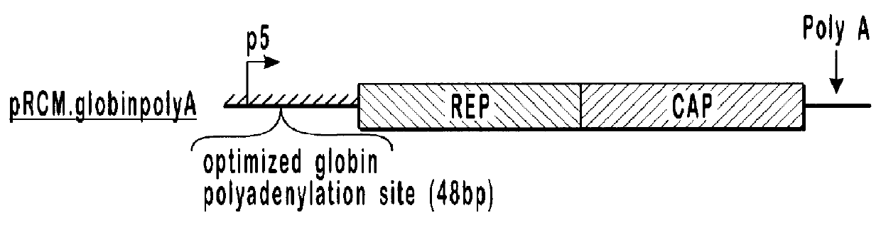 High-efficiency AA V helper functions