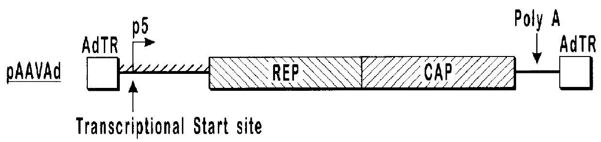 High-efficiency AA V helper functions