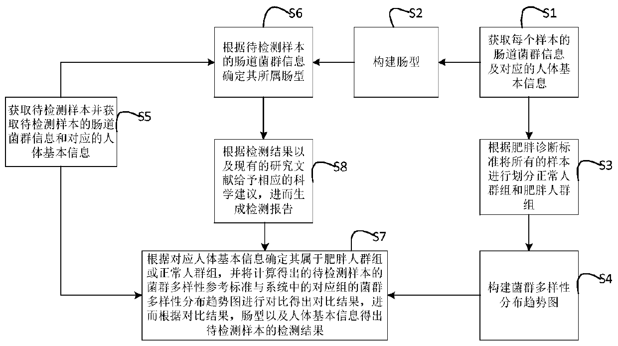 Detection method and device for human intestinal flora, and storage medium