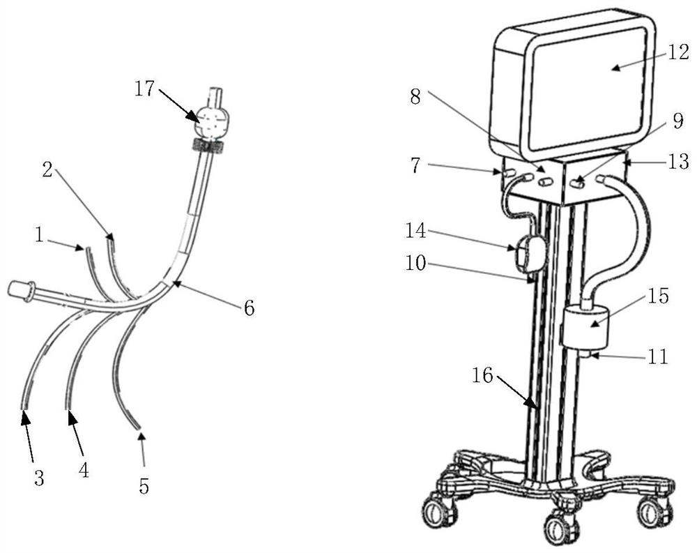 Multifunctional airway management system