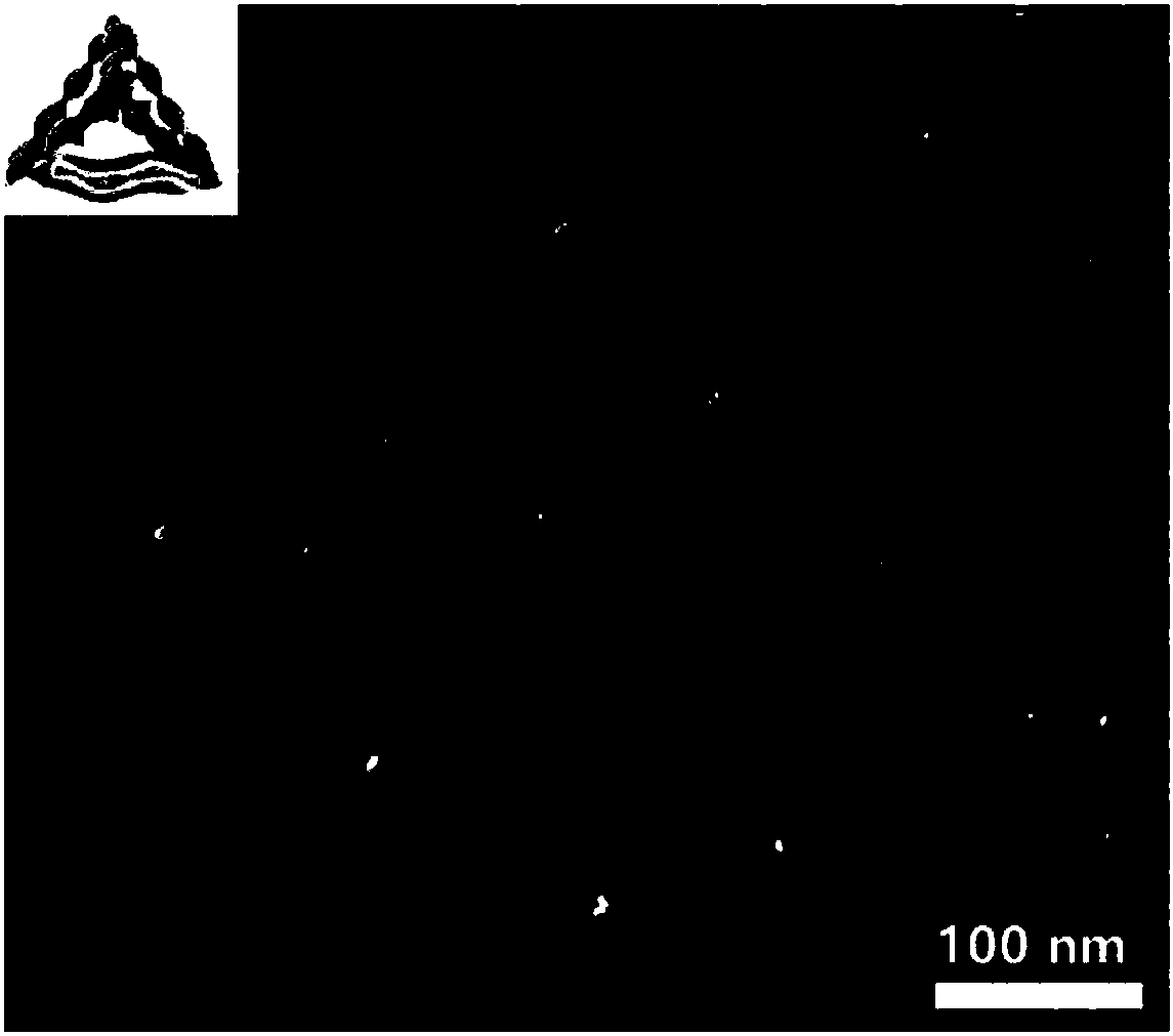 AsPNA (antisense peptide nucleic acid)-TDN (tetrahedral DNA nanostructure) carrier compound as well as preparation method and application thereof