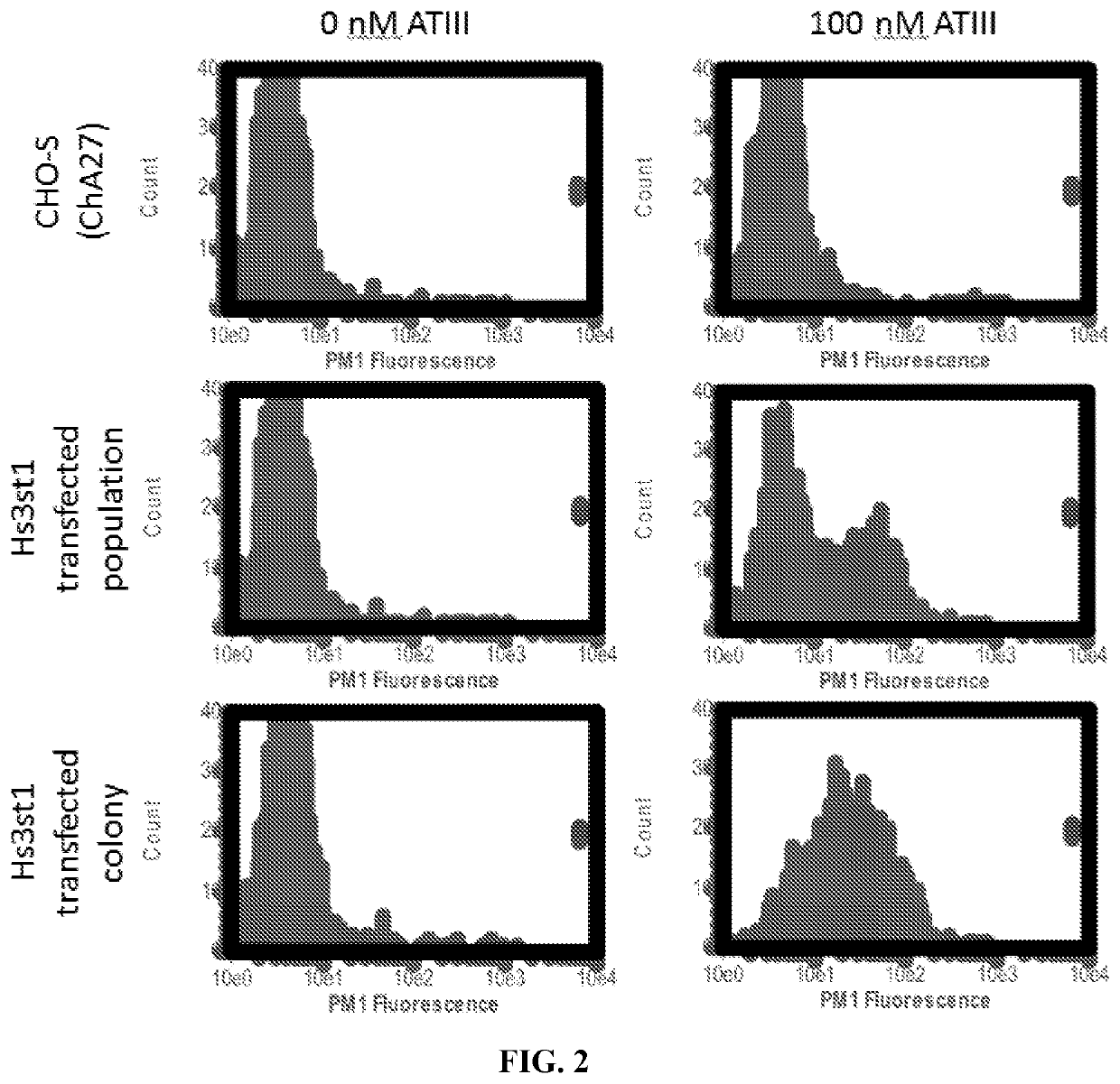 In vitro heparin and heparan sulfate compositions and methods of making and using