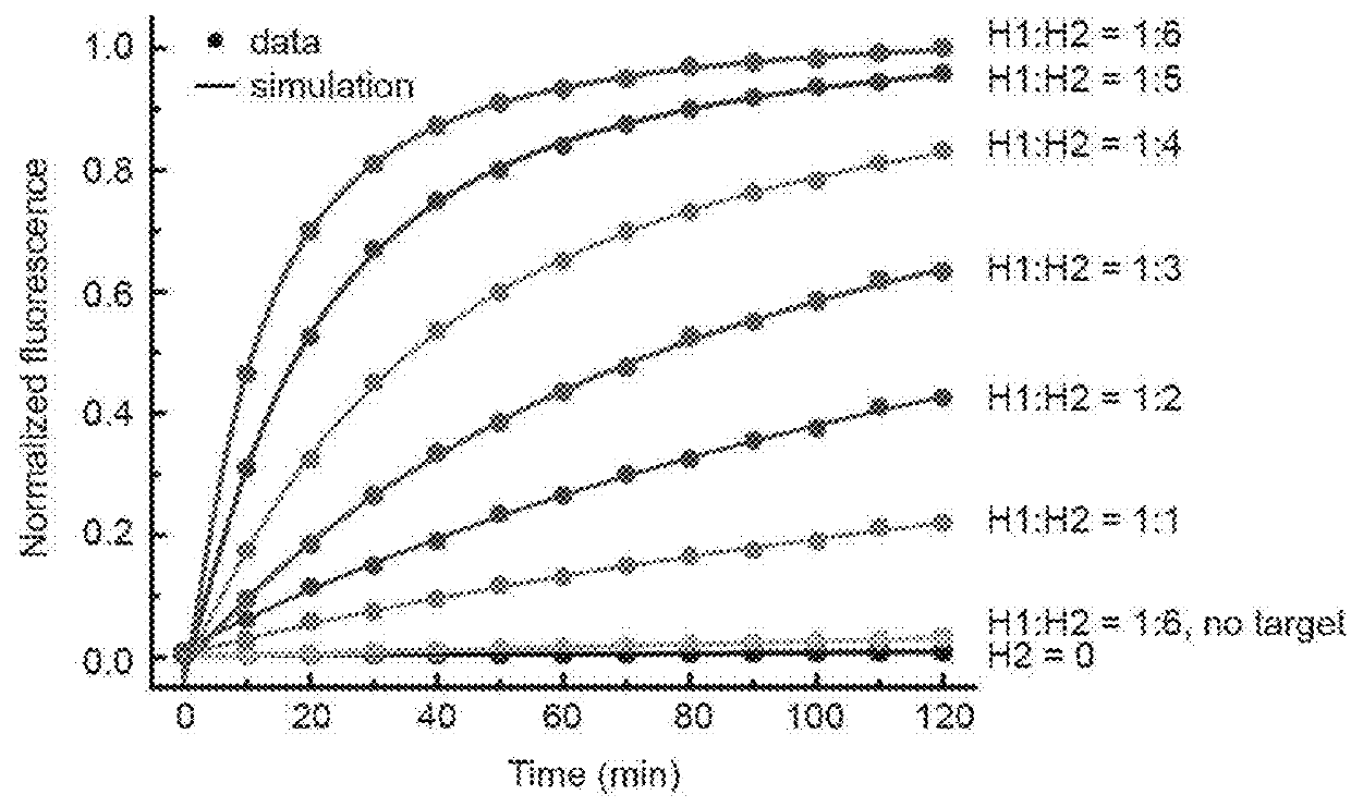 Lipid-polymer Hybrid Nanoparticle Biochip and Application Thereof