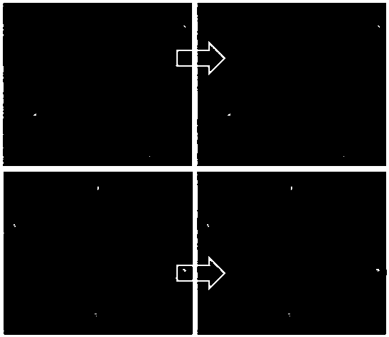 Non-growing season grass and livestock balance evaluation method based on unmanned aerial vehicle LIDAR aerial survey technology