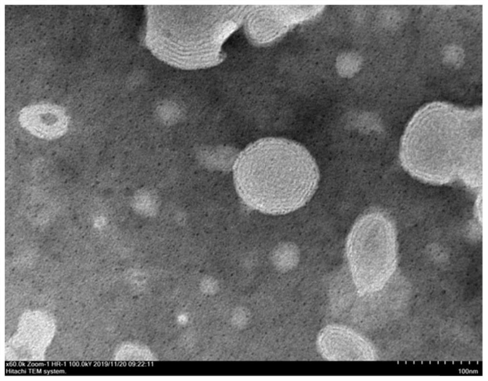 Essence containing coenzyme Q10 lipidosome and preparation method of essence containing coenzyme Q10 lipidosome.