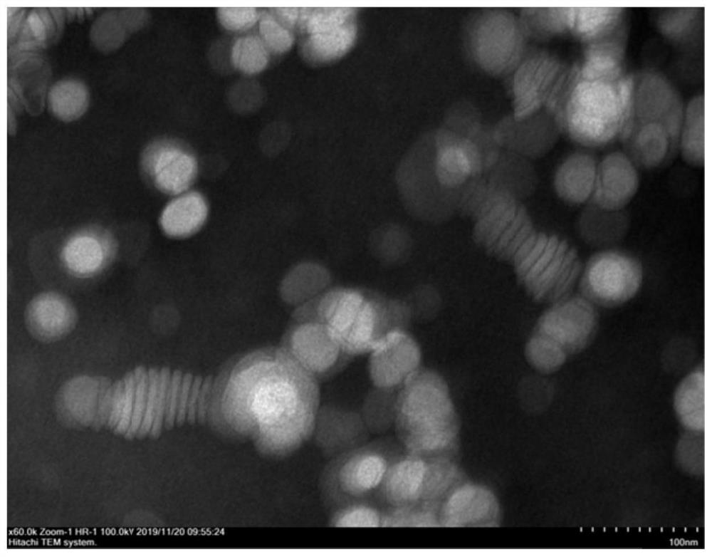 Essence containing coenzyme Q10 lipidosome and preparation method of essence containing coenzyme Q10 lipidosome.