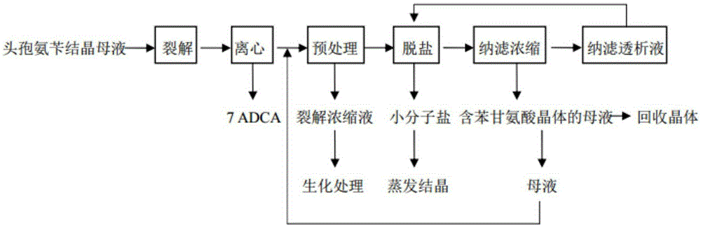 Method for recycling phenylglycine in cefalexin crystallization mother liquid