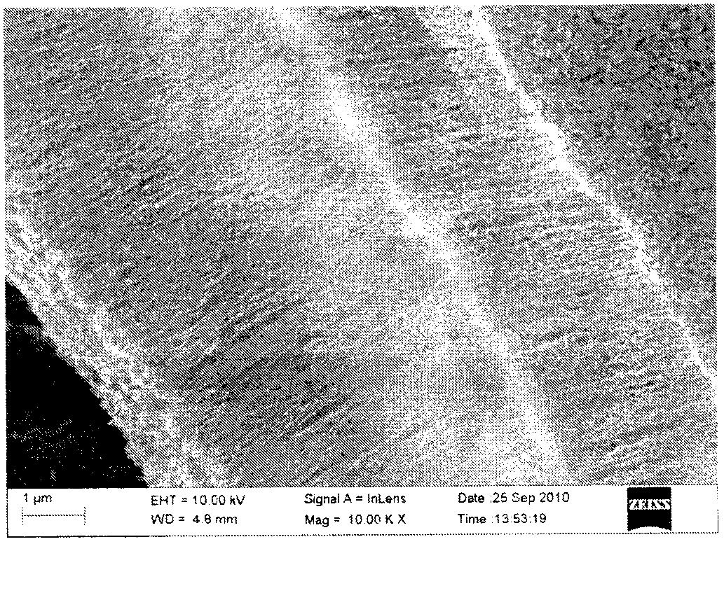 Preparation method for directly growing high density carbon nanotube array on carbon fiber paper base bottom