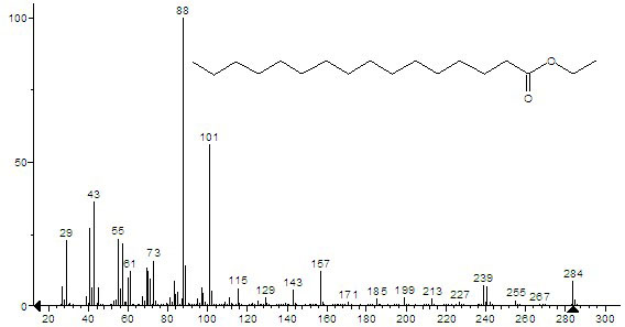 Method of using macroporous strongly acidic type cation exchange resin to catalytically synthesize ethyl palmitate