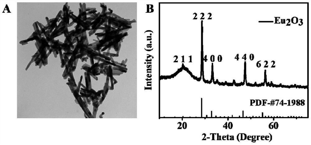 Rare earth-based nano composite hydrogel wound dressing as well as preparation method and application thereof