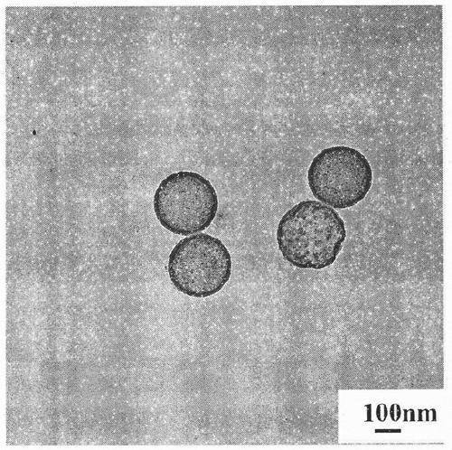 Novel preparation method of nano-silica microcapsule