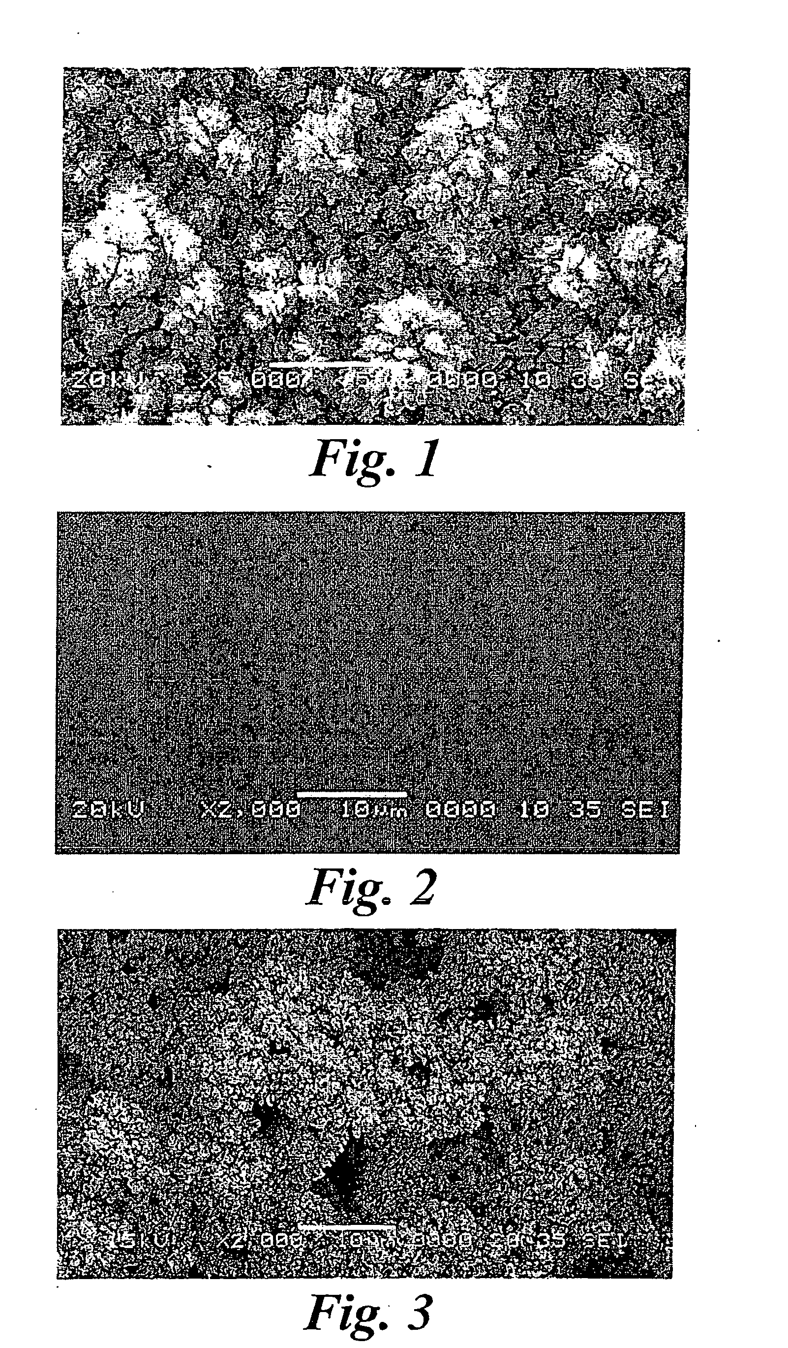 Platinum electrode surface coating and method for manufacturing the same