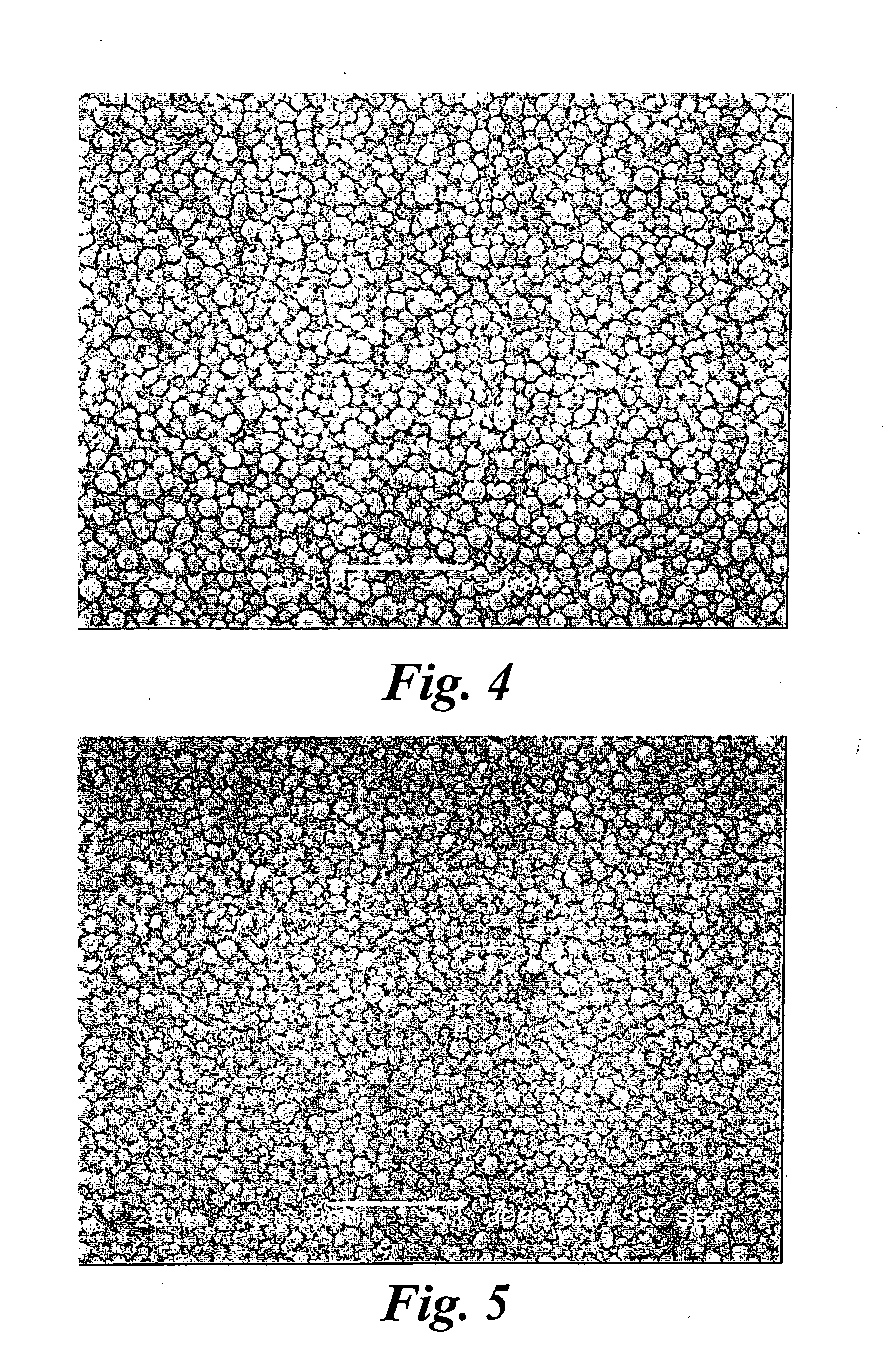 Platinum electrode surface coating and method for manufacturing the same